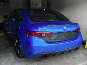 Alfa Romeo Giulia Central Back License Plate Trim Piece - Carbon Fiber